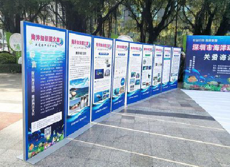  孟州KT板的种类和知识。